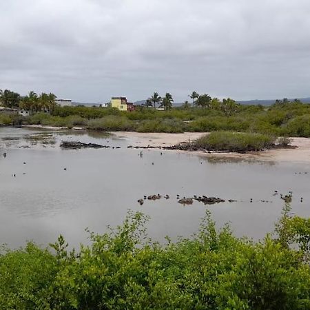 Flamingos House Puerto Villamil Eksteriør billede